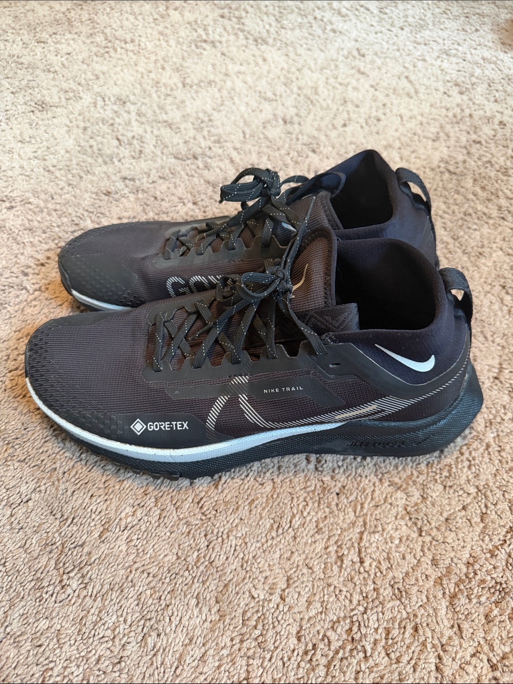Women’s Nike Pegasus Trail 4 GORE-TEX Size 11.5